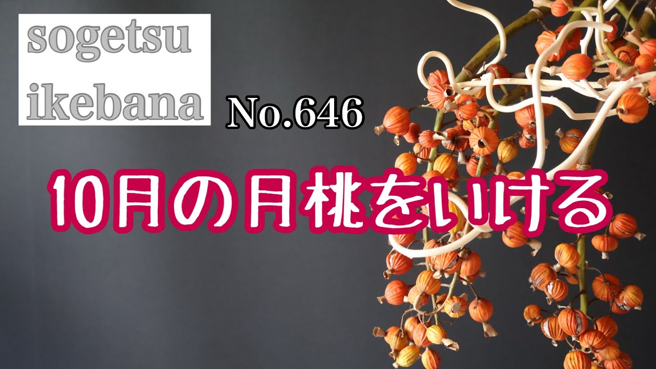 10月の月桃をいける No.646 - YouTube