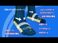 D LINEサポートソックス D LINEサポートソックス