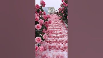 تلاوة خاشعة أرح سمعك وقلبك سورة الضحى