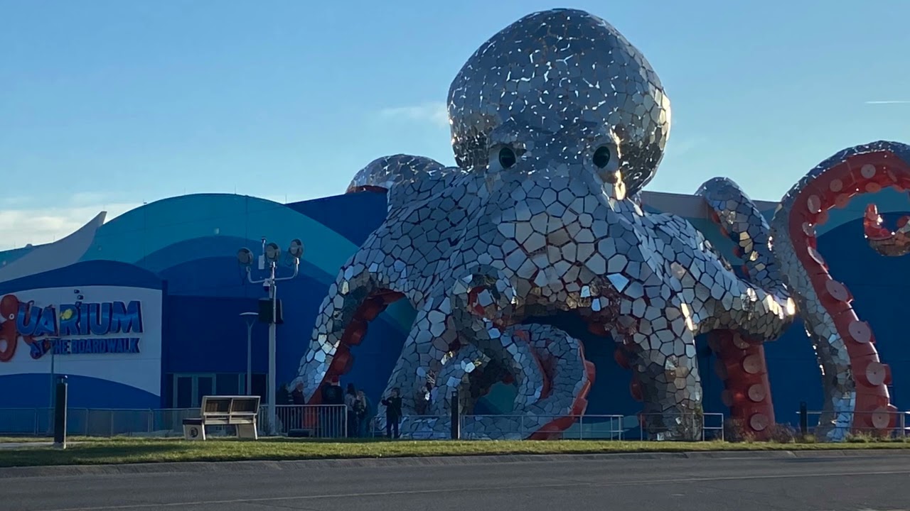 Explore Branson, Missouri: A Fun-Filled Adventure Awaits!