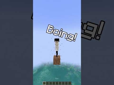 Quick Minecraft Facts!