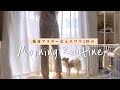 チワワと飼い主の、年に一度の特別な日の朝はこうやって始まる、、、