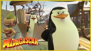 DreamWorks Madagascar en Español Latino | El Avión de Los Pingüinos | Madagascar 3 Los Fugitivos