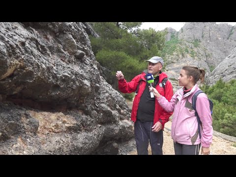 Vídeo: Com Identificar Els Ports Oberts