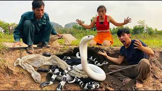Brave Hunters Excavate Massive Snake Nest With Bare Hands