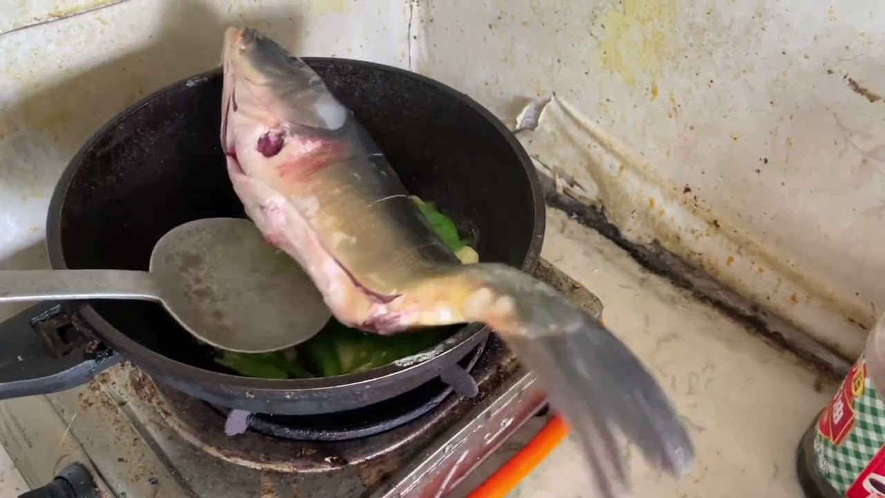 时隔3天终于不下雨了，上山喂猪割草，下午回家做红烧大鲤鱼