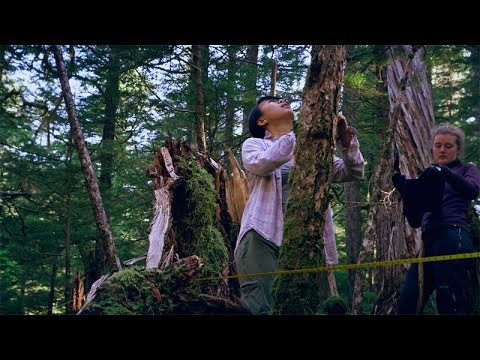 Stanford students explore Alaska's Tongass National Forest