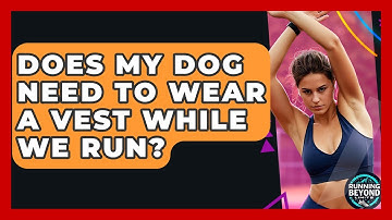 Does My Dog Need To Wear A Vest While We Run? - Running Beyond Limits