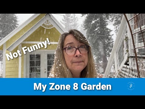 April Cottage Garden