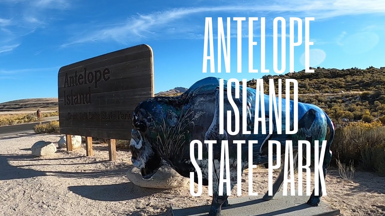 are dogs allowed on antelope island