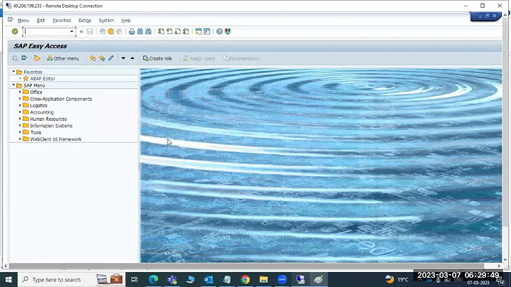 SAP Basis - Background Jobs