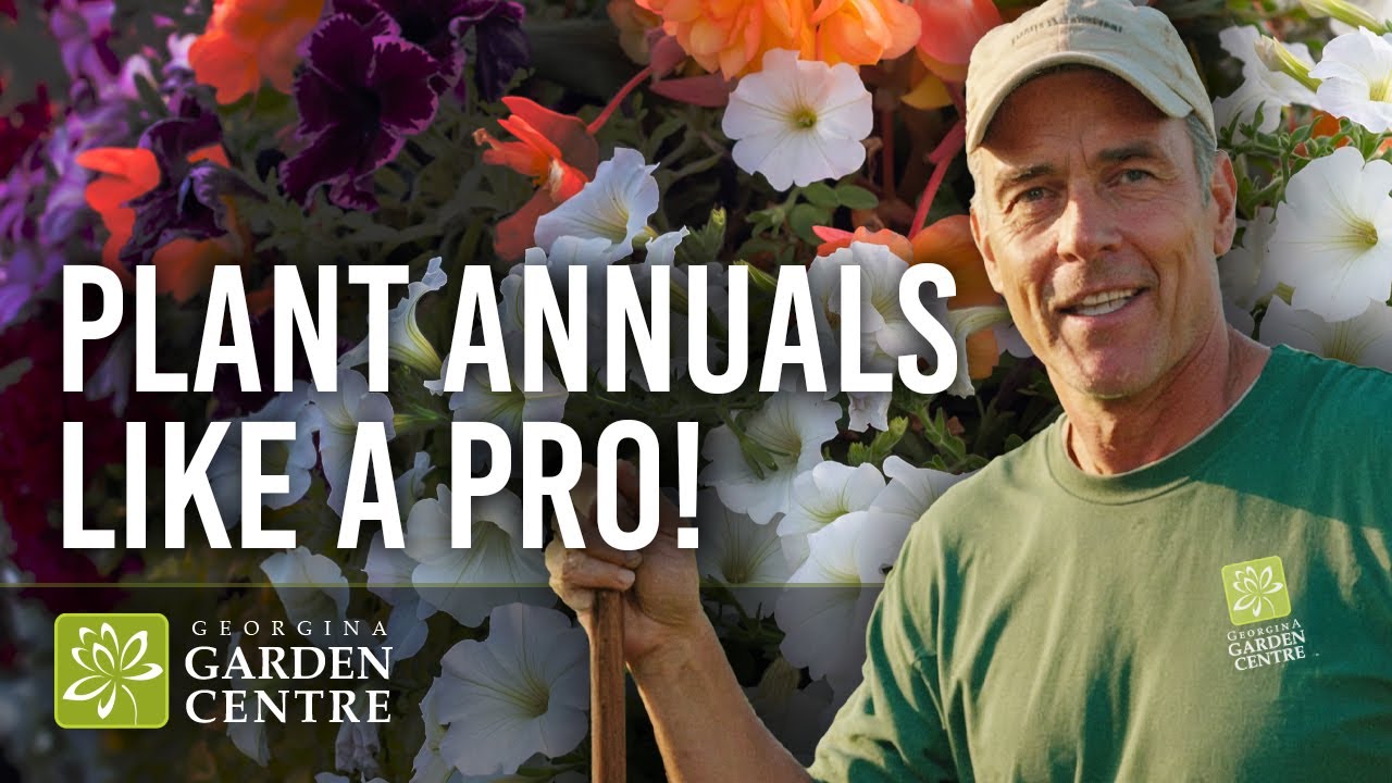 How to Plant Annuals | Easy Flower Bed Planting Guide