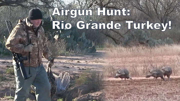 Airgun Hunting Rio Grande Turkey! The AirForce Texan .357