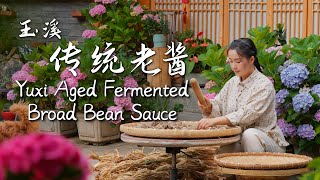 Yuxi Aged Fermented Broad Bean Sauce – The Soul of Yunnan Cuisine【滇西小哥】