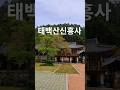 태백산신흥사 #shorts #travel #멋진하늘 #하늘하늘 #nature #자연 #사찰 #사찰여행 #반야심경 #소원성취 #korean Temple