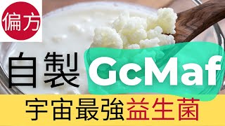 自製超級乳酪GcMaf