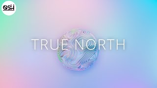 ARMNHMR - True North ft. Dia Frampton lyrics