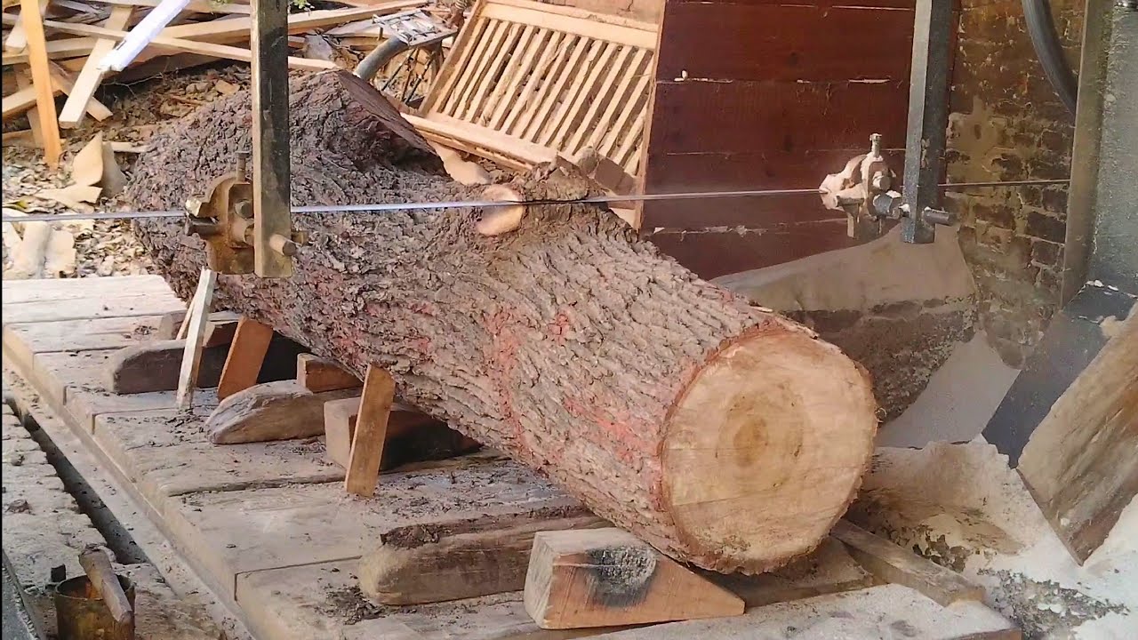 Sawmill Machine Cutting Big Wood Log Sawmill Machine Wood Work YouTube
