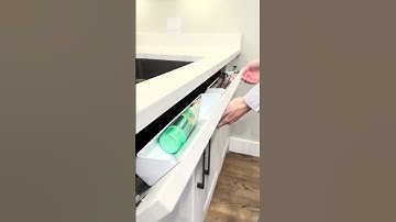 Maximize Your Kitchen Sink Space with Sink Tip-Out Trays | Livwell Collective