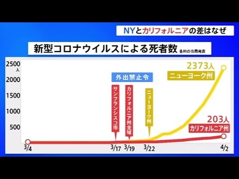 ｎｙとカリフォルニアの差はなぜ 米 新型コロナ拡大 Youtube