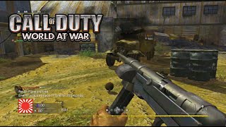 World At War 2023 #41 Everything is better w/ the MP40 (COD WAW)