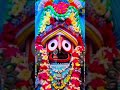 jay jagannath bhajan odia video #viralvideo #trendingshorts #youtubeshorts #shorts #shortfeed #statu