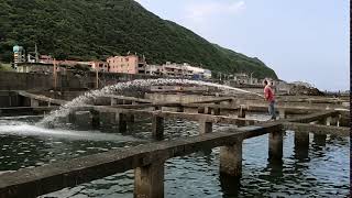 真男人:海邊的男人真的吃的比較補