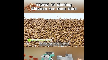 TAIHO AI Sorting Solution for Pine Nuts