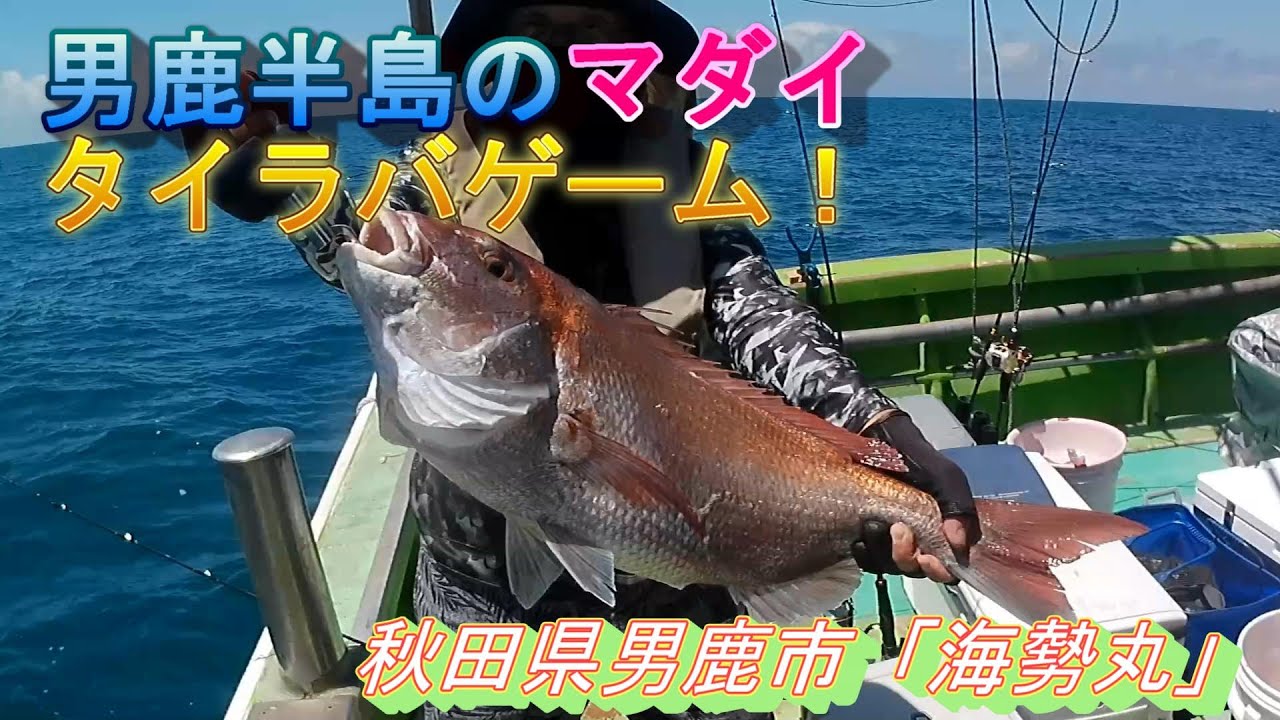 【マダイ】男鹿半島のタイラバゲーム！　海勢丸