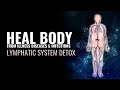 Lymphatic system detox  heal body from illness diseases  infections  strengthen immune responses