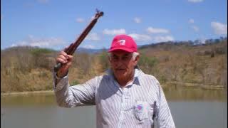 Gemi - Gemma3n Medical & Assisted System | Google DeepMind