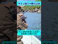 初心者さんや釣れない方におすすめアオリイカヤエン釣り#shorts