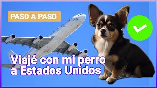 Cómo viajar con mi perro a Estados Unidos en cabina