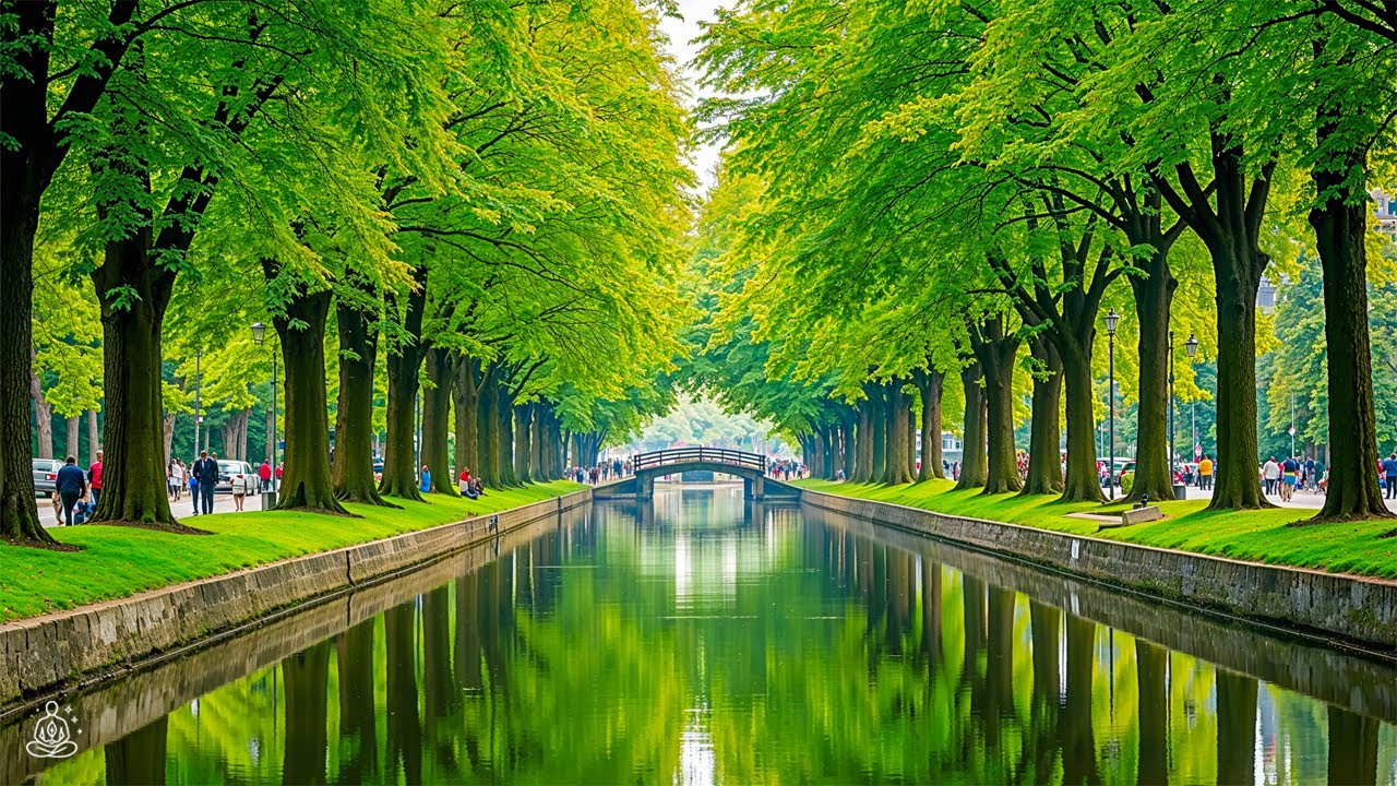 Beautiful Relaxing Music 🍀Calming sounds for stress relief, balance & deep relaxation