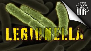 Legionella - zabójca czyhający we mgle by Uwaga! Naukowy Bełkot 135,076 views 8 months ago 14 minutes, 34 seconds