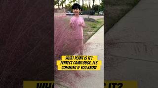 Do you know the name of the plant ? Zaynn was dressed exactly like it. #doyouknow #nameit #plants