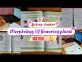 Day-08| Biology Morphology of flowering plants✨Study with me for Neet 2026,Daily study vlog, #neet