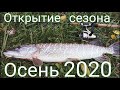 Ловля щуки в сентябре. Открытие сезона спиннинга 2020