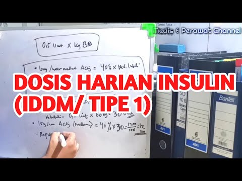 DOSIS INSULIN HARIAN (IDDM / DM TIPE 1)