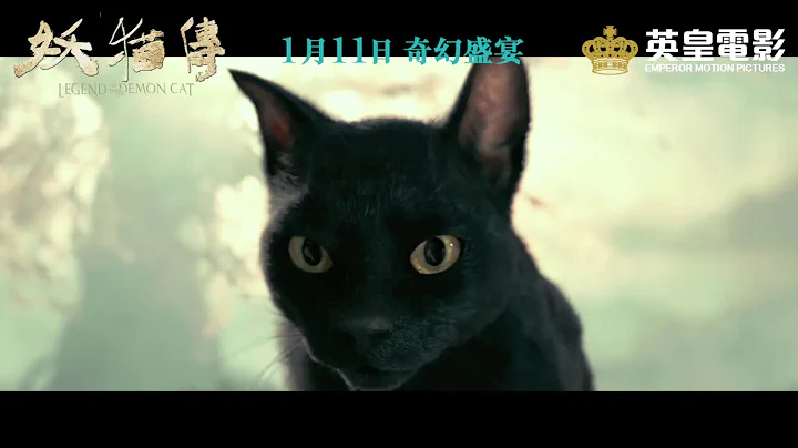 《妖猫传》妖猫现世版预告 - 天天要闻