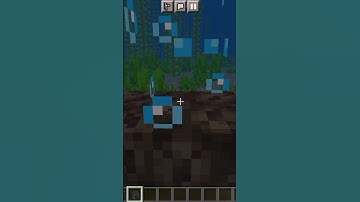 What Happened When You Create Wither In Water #short