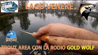 TROUT AREA CON LA RODIO GOLD WOLF