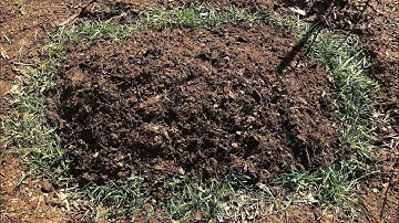 Cover Crops, Hay, and Compost on Hugel Mounds