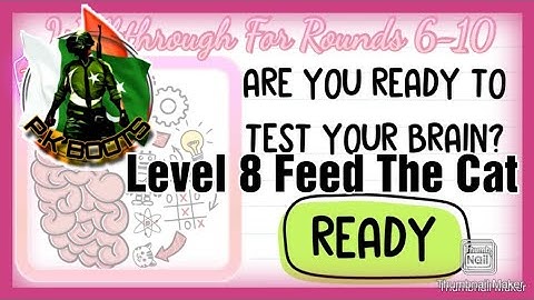 Brain Test Level 8 Feed The Cat Please, He Is Hungry