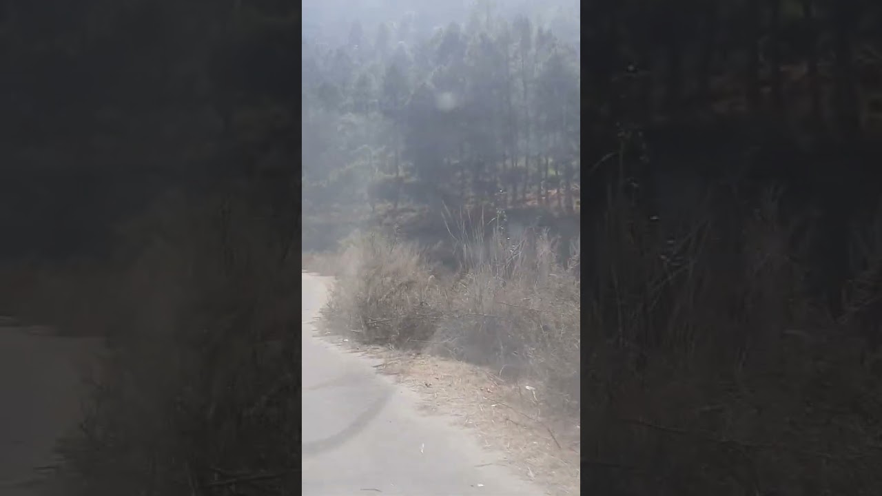 Link Roads of Mori Block 