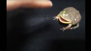 REEEEEEEEEEEEE