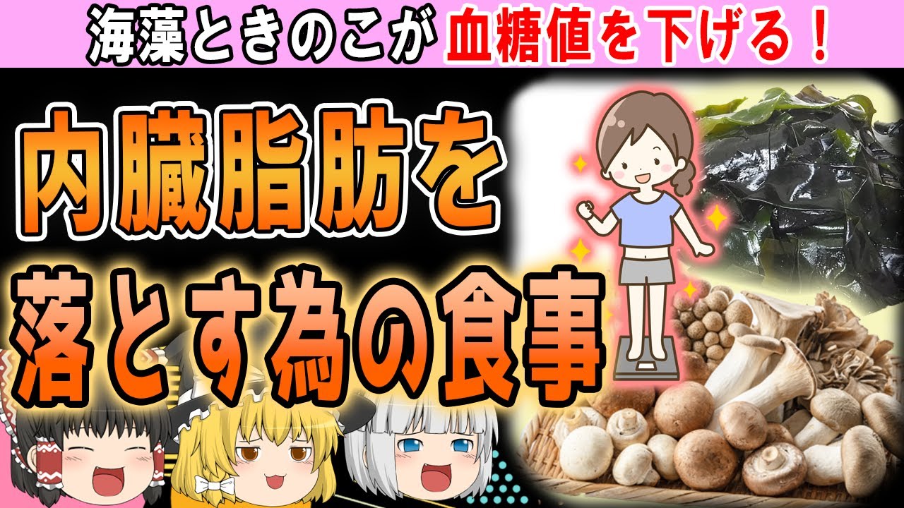 【ゆっくり解説】40代50代のぽっこりお腹に!!内臓脂肪を減らすのに大事な食べ方