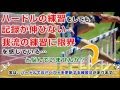 ハードル走のコツはもちろん、記録が伸びるポイントや練習方法を動画と解説で分かりやすく紹介した「ハードル上達革命」