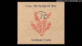 12. A Place For Grief - Graham Coxon - Crow Sit On Blood Tree