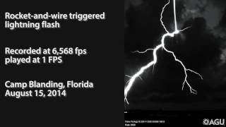 Triggered lightning induces a terrestrial gamma ray flash